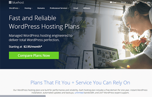 What is Bluehost WordPress hosting?