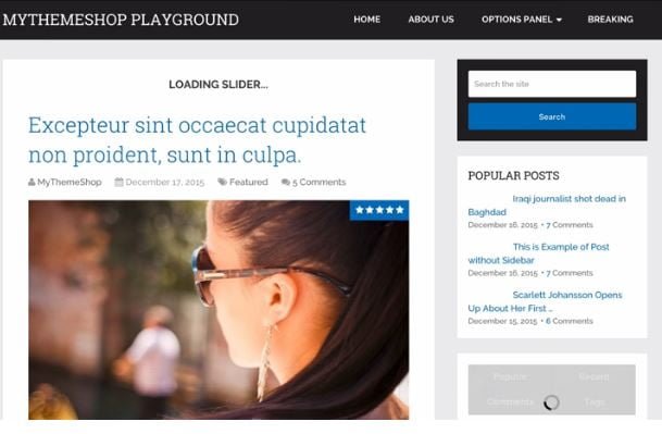 Best WordPress Theme For Speed