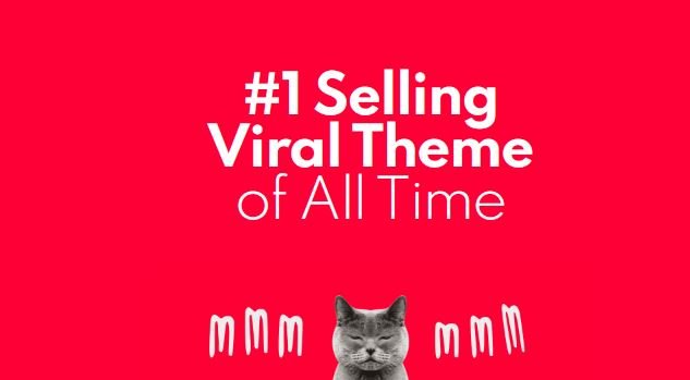 Bimber WordPress Theme