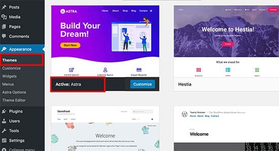 How to Delete Theme in Wordpress?