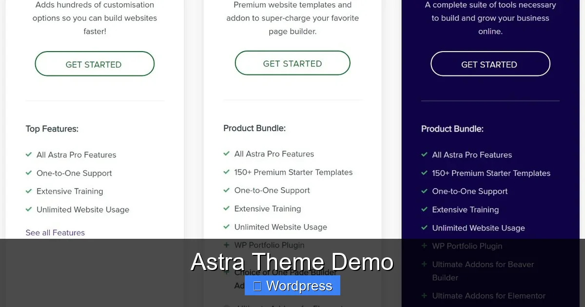 Astra Theme Demo