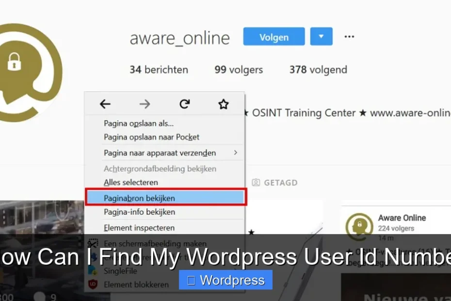 How Can I Find My Wordpress User Id Number