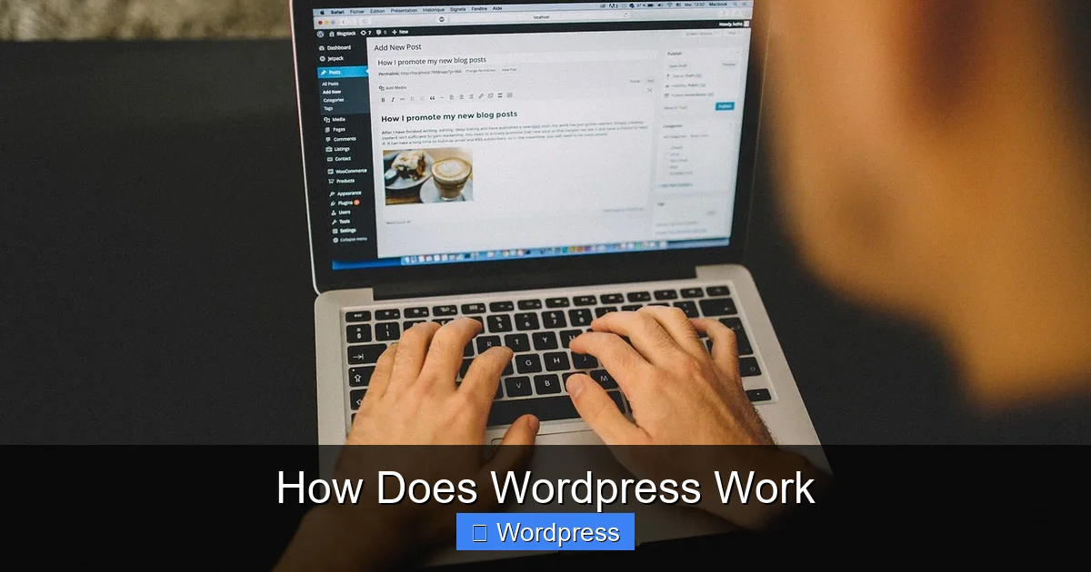 How Does WordPress Work