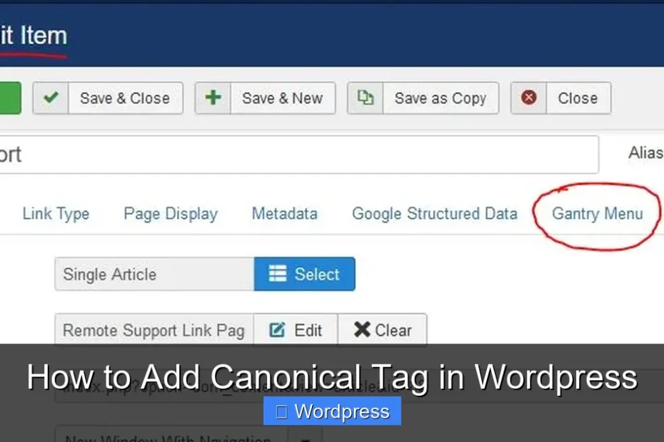 How to Add Canonical Tag in Wordpress