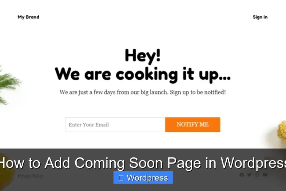 How to Add Coming Soon Page in Wordpress