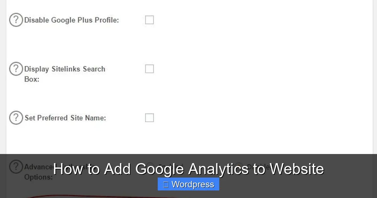 How to Add Google Analytics to Website