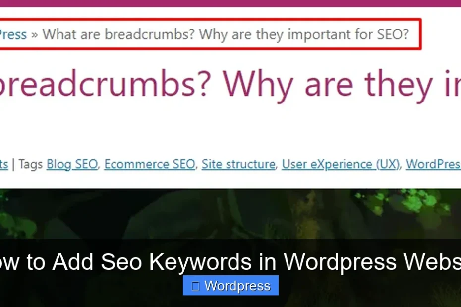 How to Add Seo Keywords in Wordpress Website