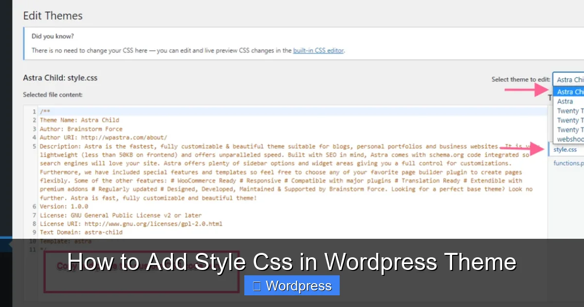 How to Add Style Css in WordPress Theme
