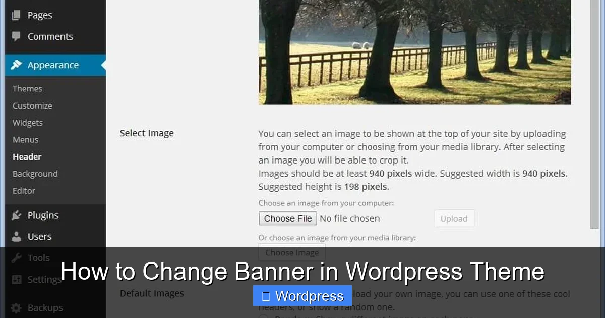 How to Change Banner in WordPress Theme