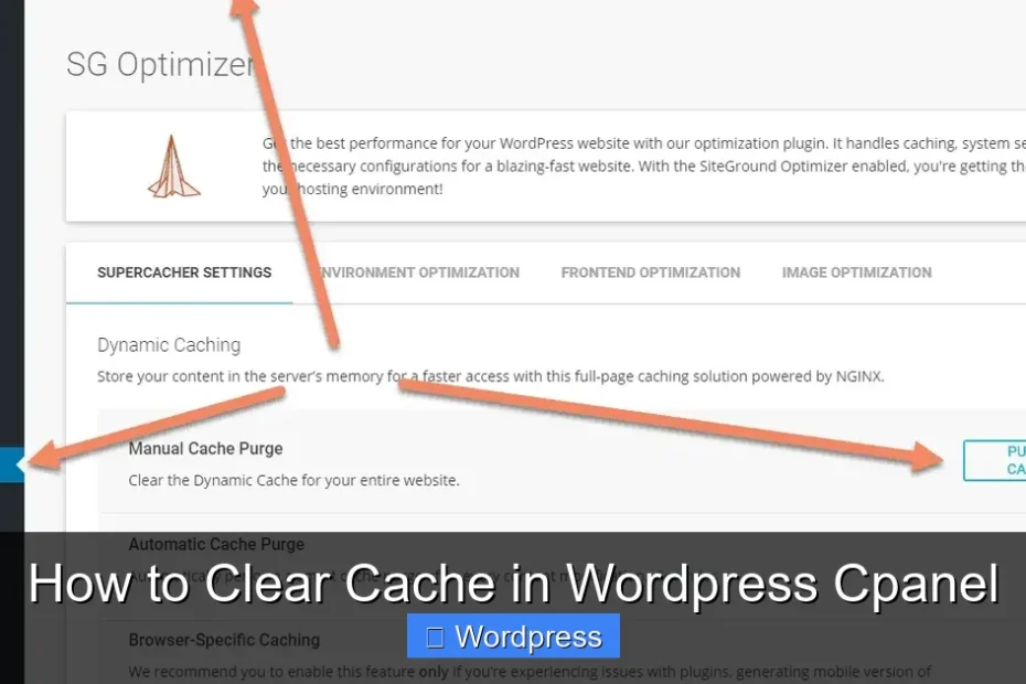 How to Clear Cache in Wordpress Cpanel