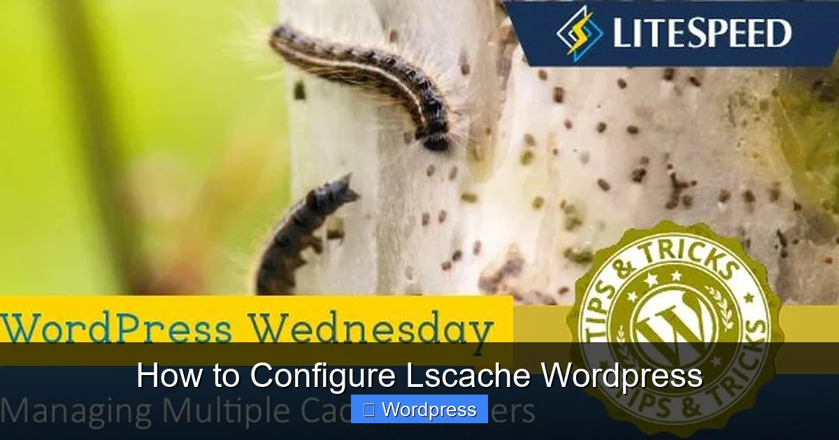 How to Configure Lscache WordPress