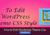 How to Edit WordPress Theme Css