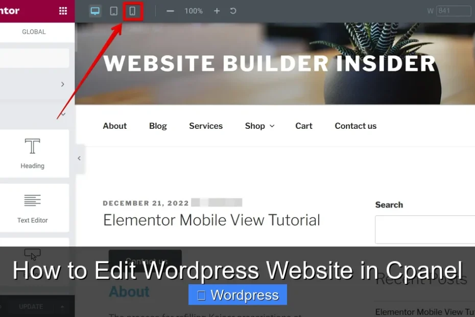 How to Edit Wordpress Website in Cpanel