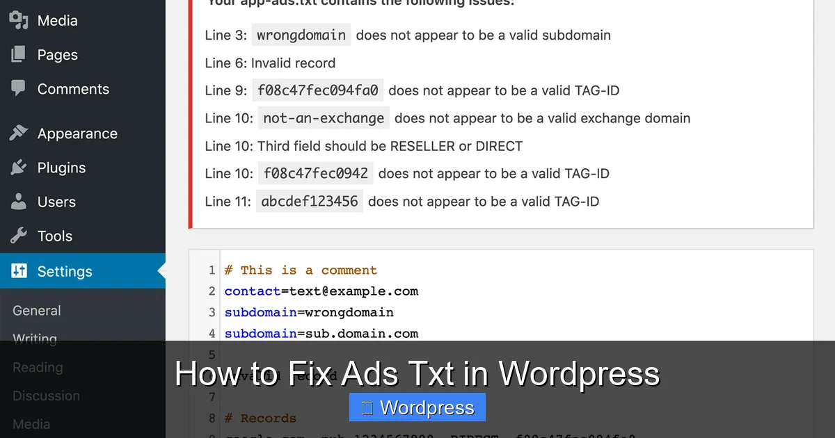How to Fix Ads Txt in WordPress