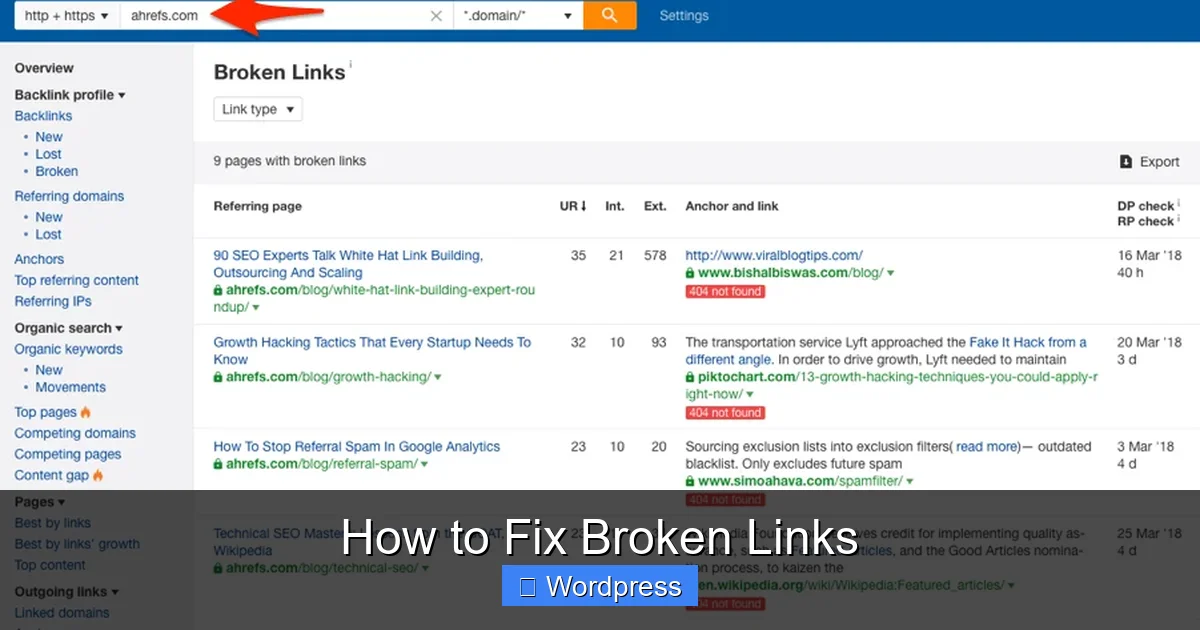 How to Fix Broken Links
