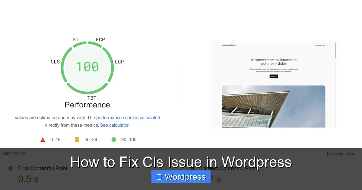 How to Fix Cls Issue in WordPress