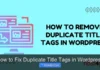 How to Fix Duplicate Title Tags in WordPress