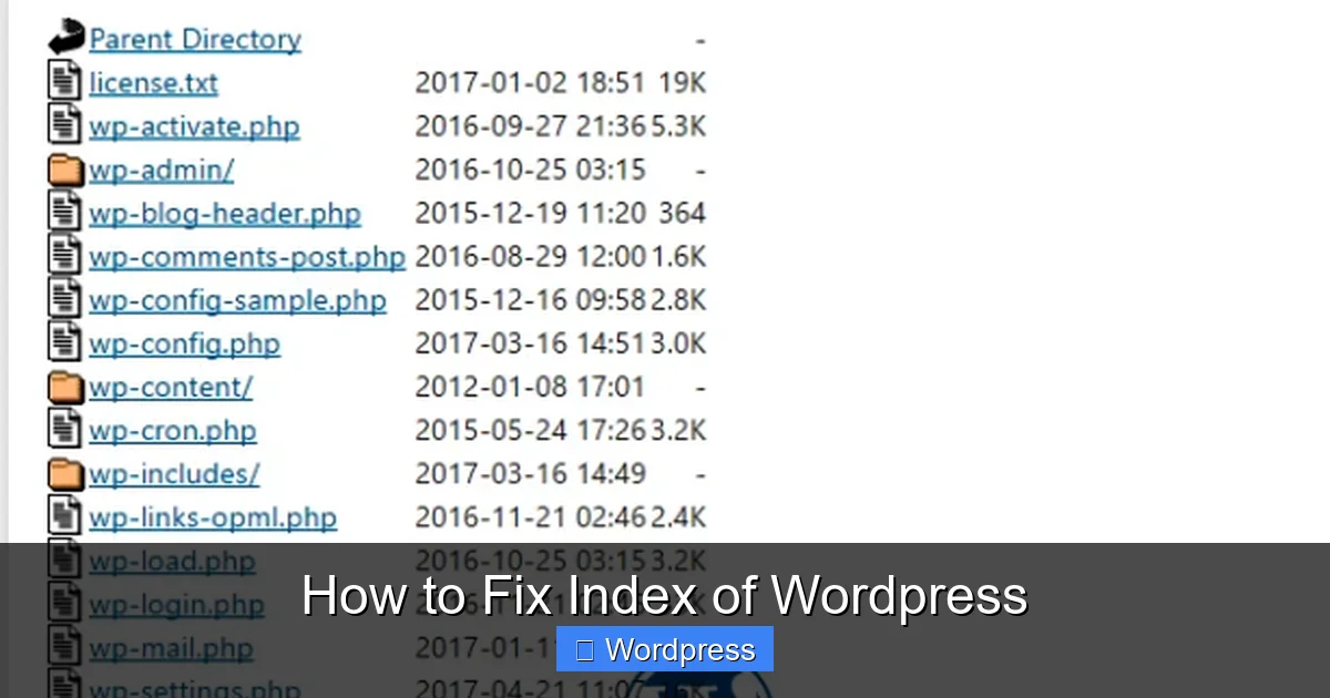 how-to-fix-index-of-wordpress-0