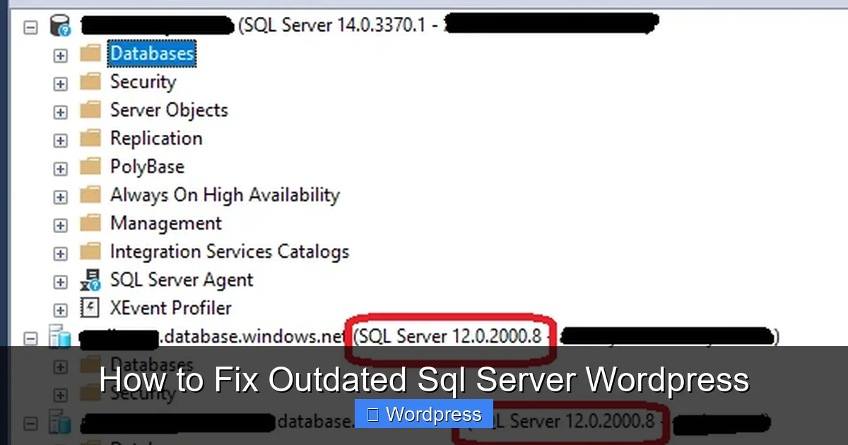 How to Fix Outdated Sql Server WordPress