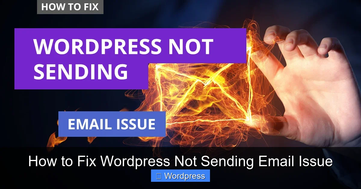 how-to-fix-wordpress-not-sending-email-issue-0
