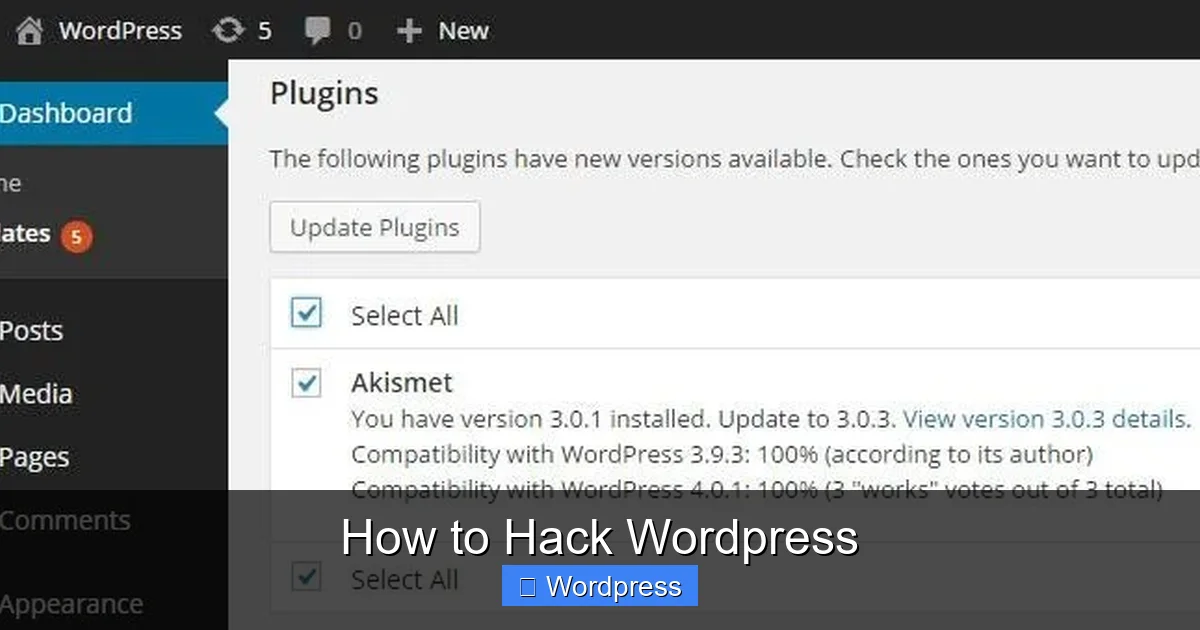 How to Hack WordPress
