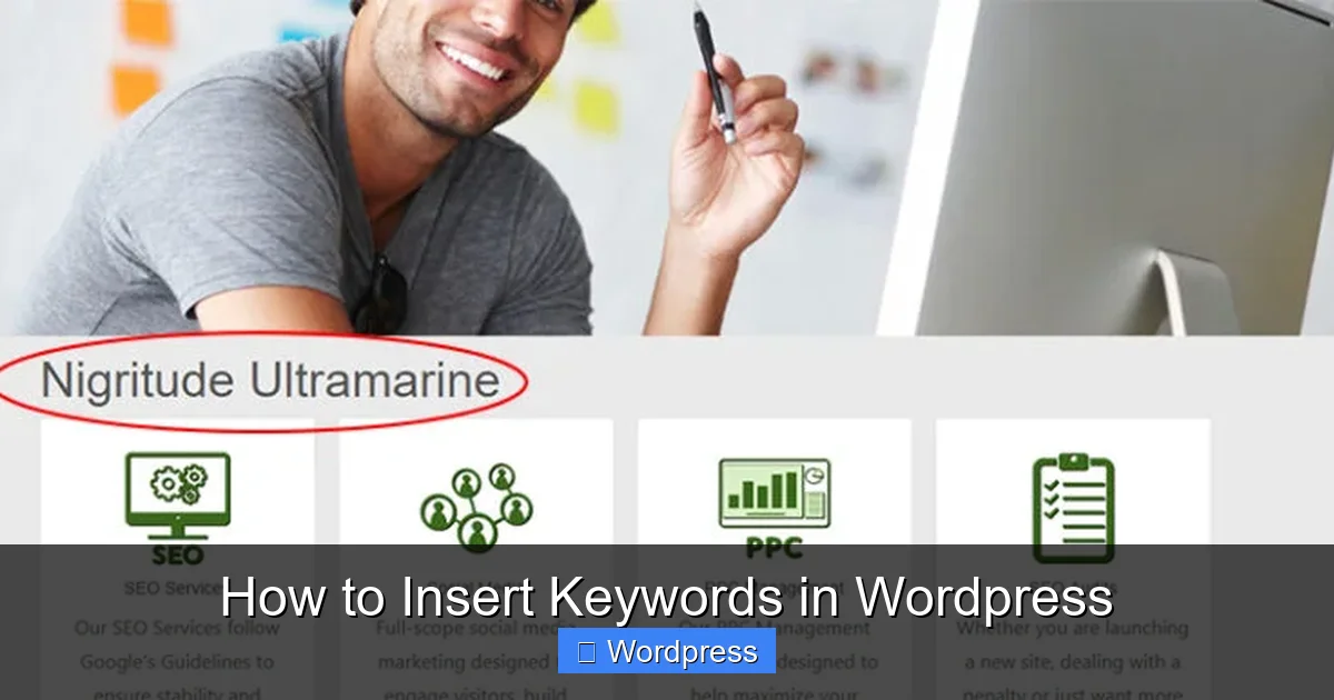 How to Insert Keywords in WordPress