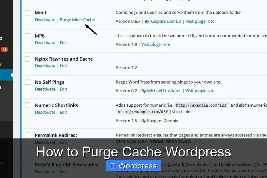 How to Purge Cache Wordpress