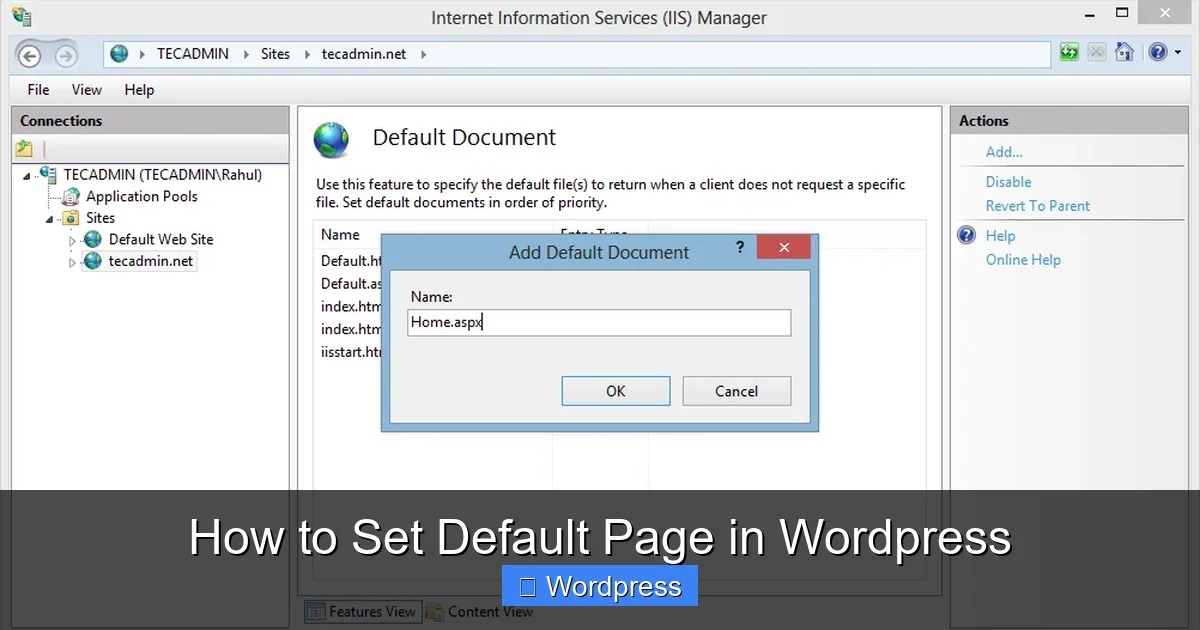 How to Set Default Page in WordPress