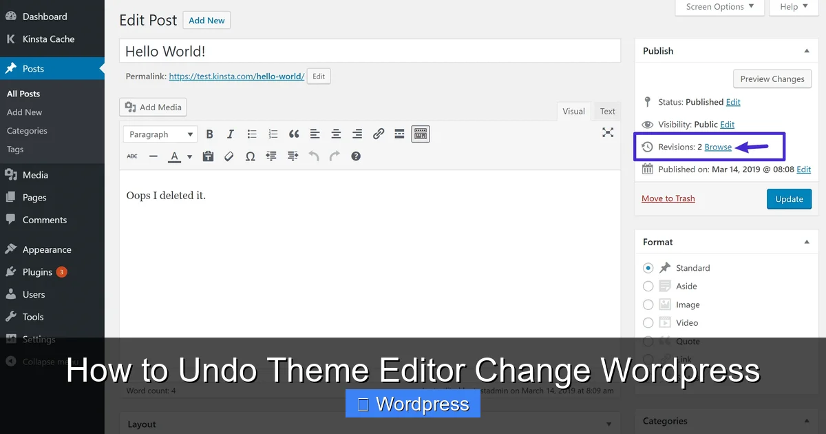 How to Undo Theme Editor Change WordPress
