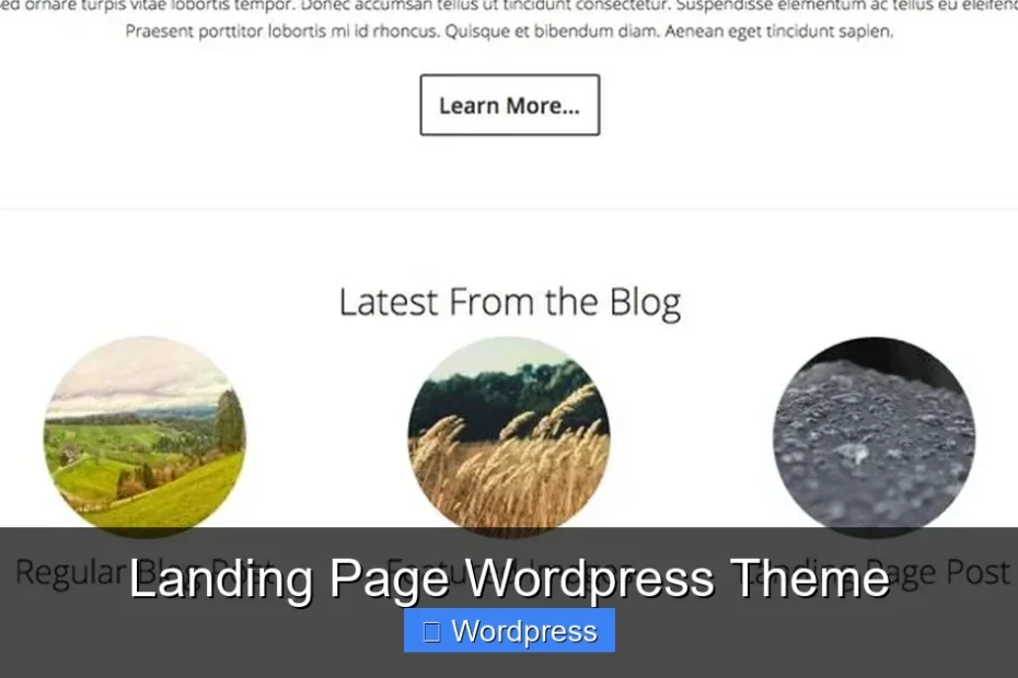 Landing Page Wordpress Theme