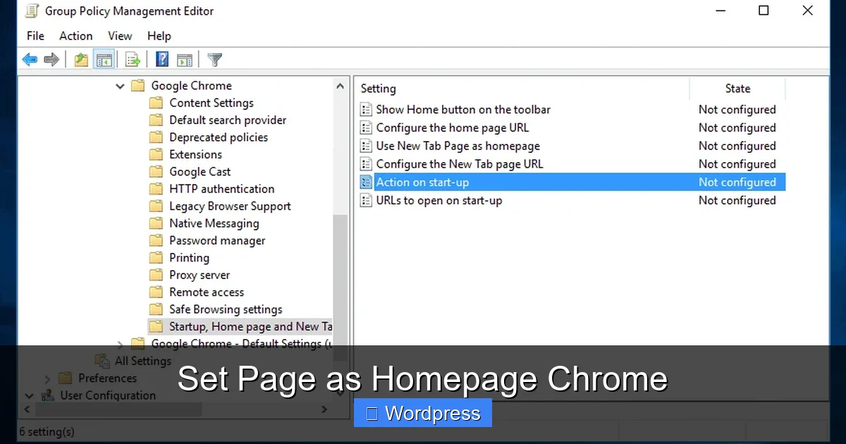 Set Page as Homepage Chrome