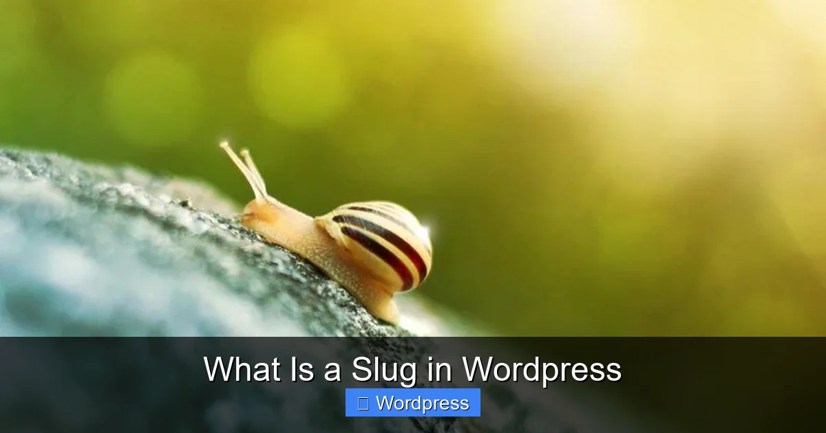 What Is a Slug in WordPress