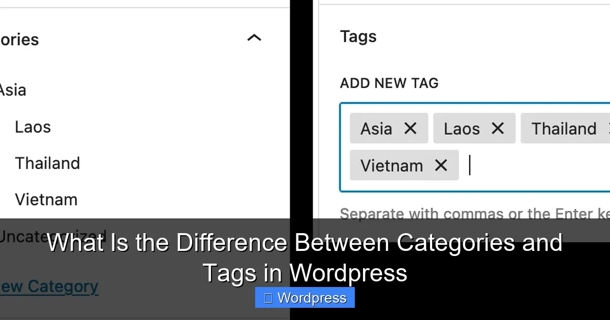 What Is the Difference Between Categories and Tags in WordPress