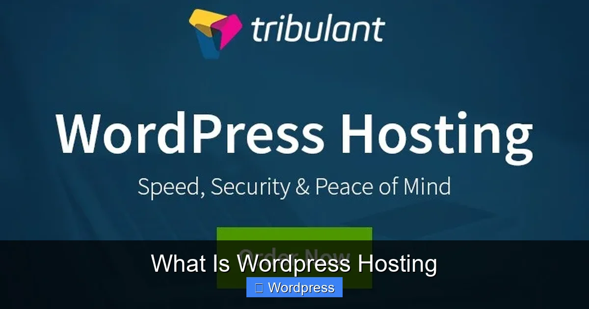 What Is WordPress Hosting